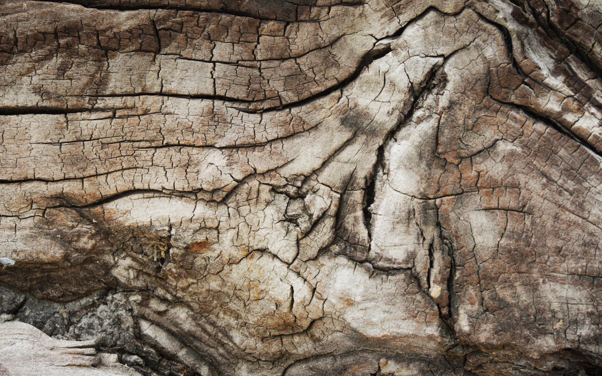 Dark grunge wooden texture background.
